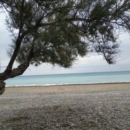 Casa Carmen Martinez 36 A Otel Moncófar Dış mekan fotoğraf