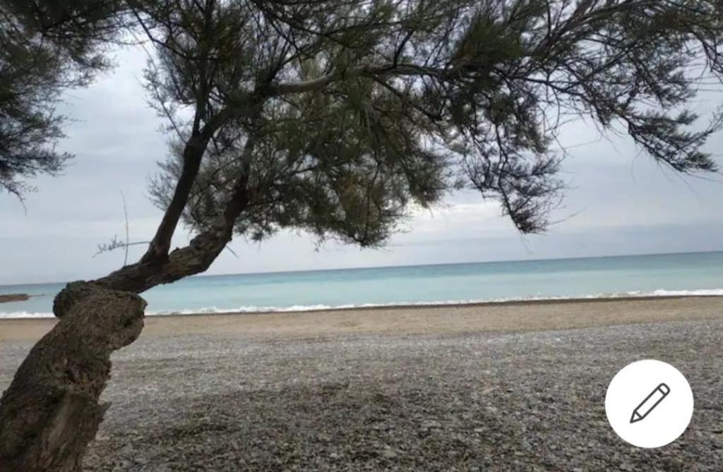 Casa Carmen Martinez 36 A Otel Moncófar Dış mekan fotoğraf